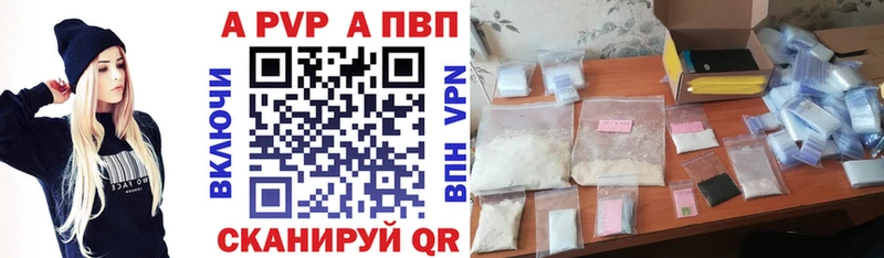 Альфа ПВП СК  Зеленоградск 