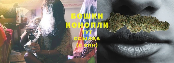 дмт Медногорск