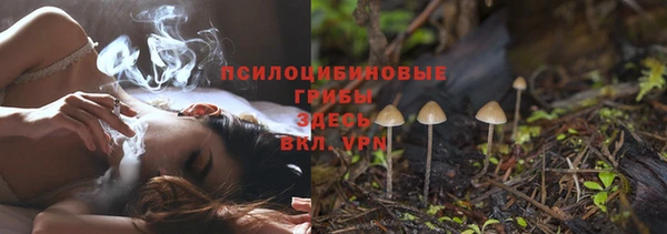 тгк Мегион