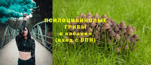 тгк Мегион