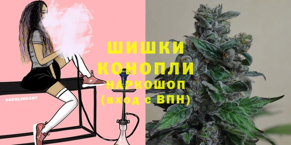 дмт Медногорск